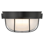 Nauticus Round Dual Mount 1 Light Outdoor LED Bulkhead, Black (20196LEDDMGLP)