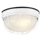 Nauticus Round Dual Mount 1 Light Outdoor LED Bulkhead, White (20196LEDDMGLP)