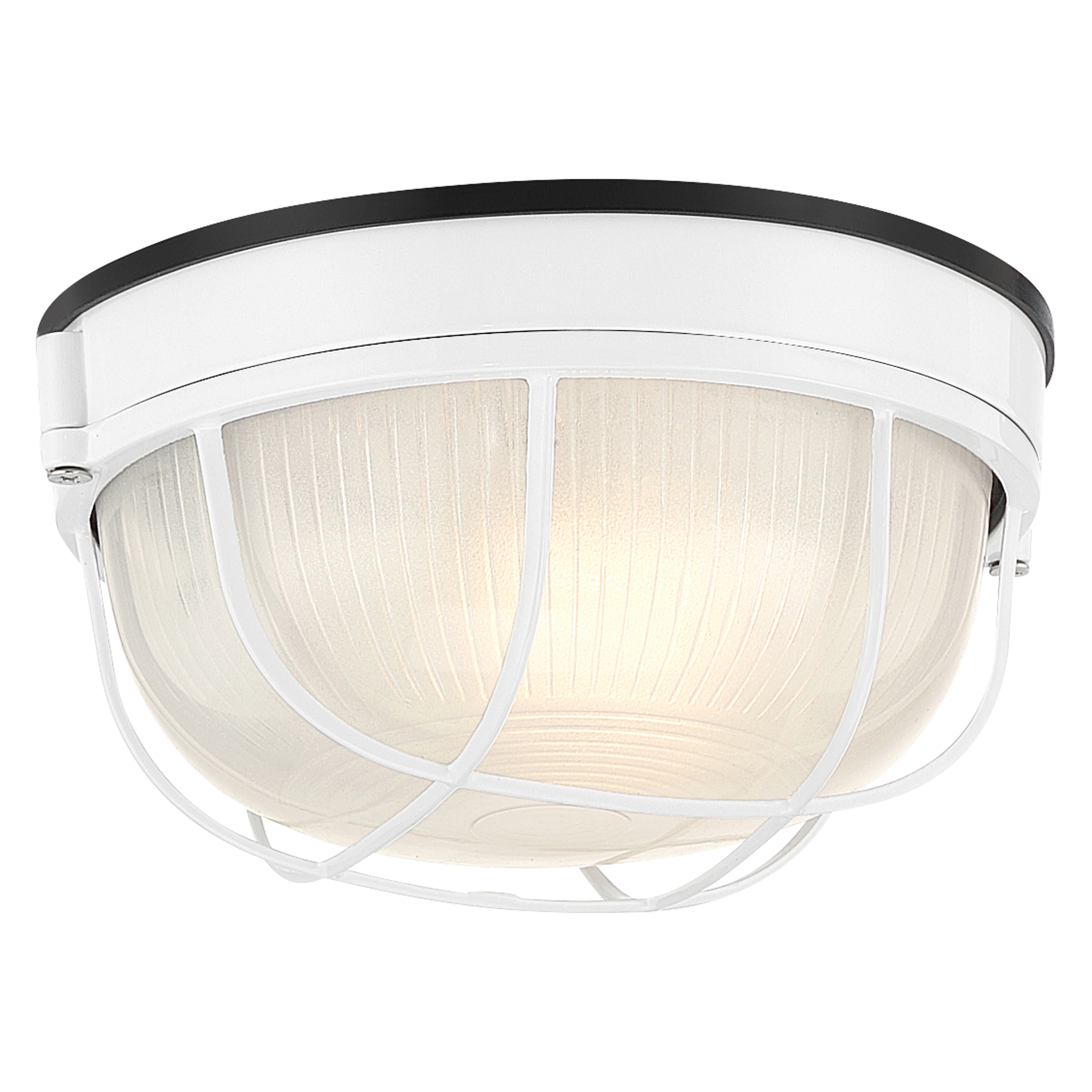 Nauticus Round Dual Mount 1 Light Outdoor LED Bulkhead, White (20196LEDDMGLP)