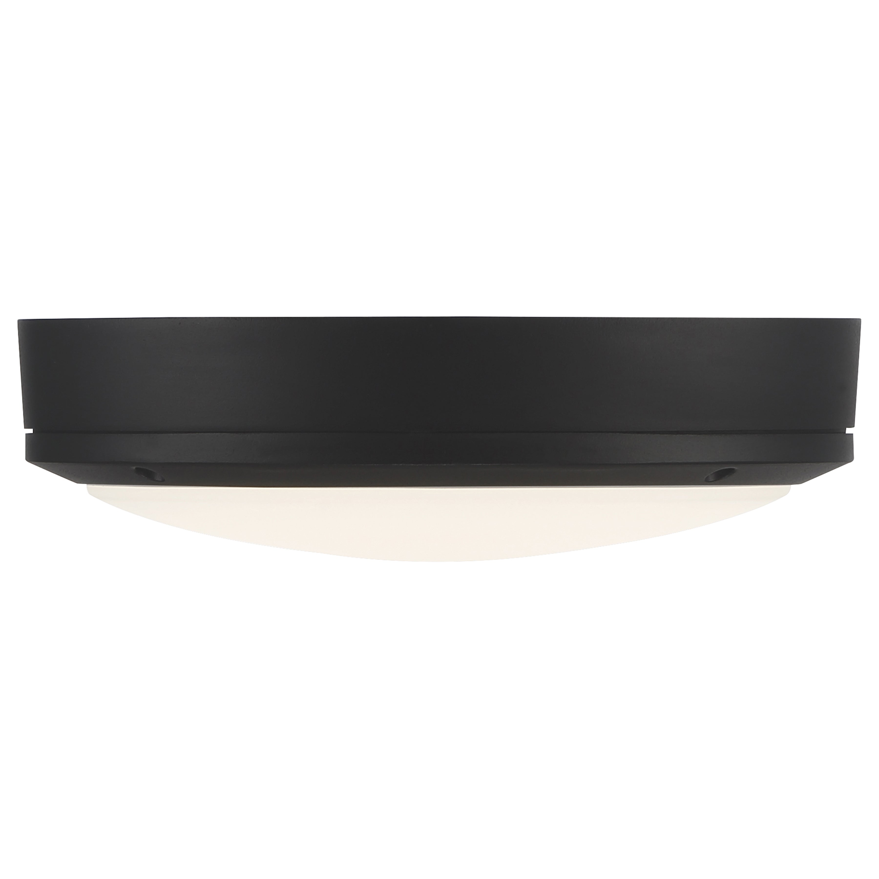 Rockaway Dual Voltage Outdoor LED Flush Mount