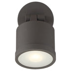 Zone Dual Mount Outdoor Adjustable LED Spotlight