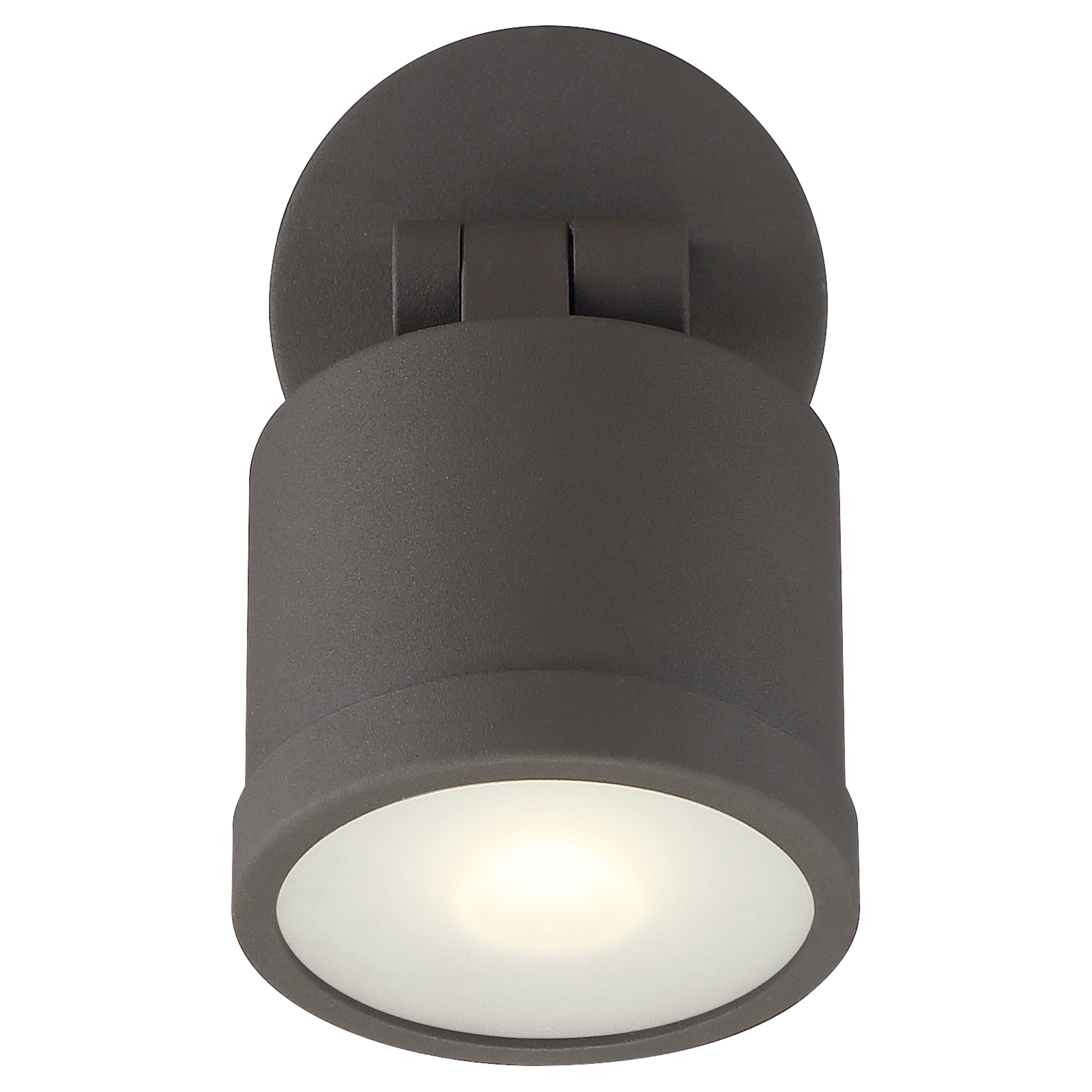 Zone Dual Mount Outdoor Adjustable LED Spotlight