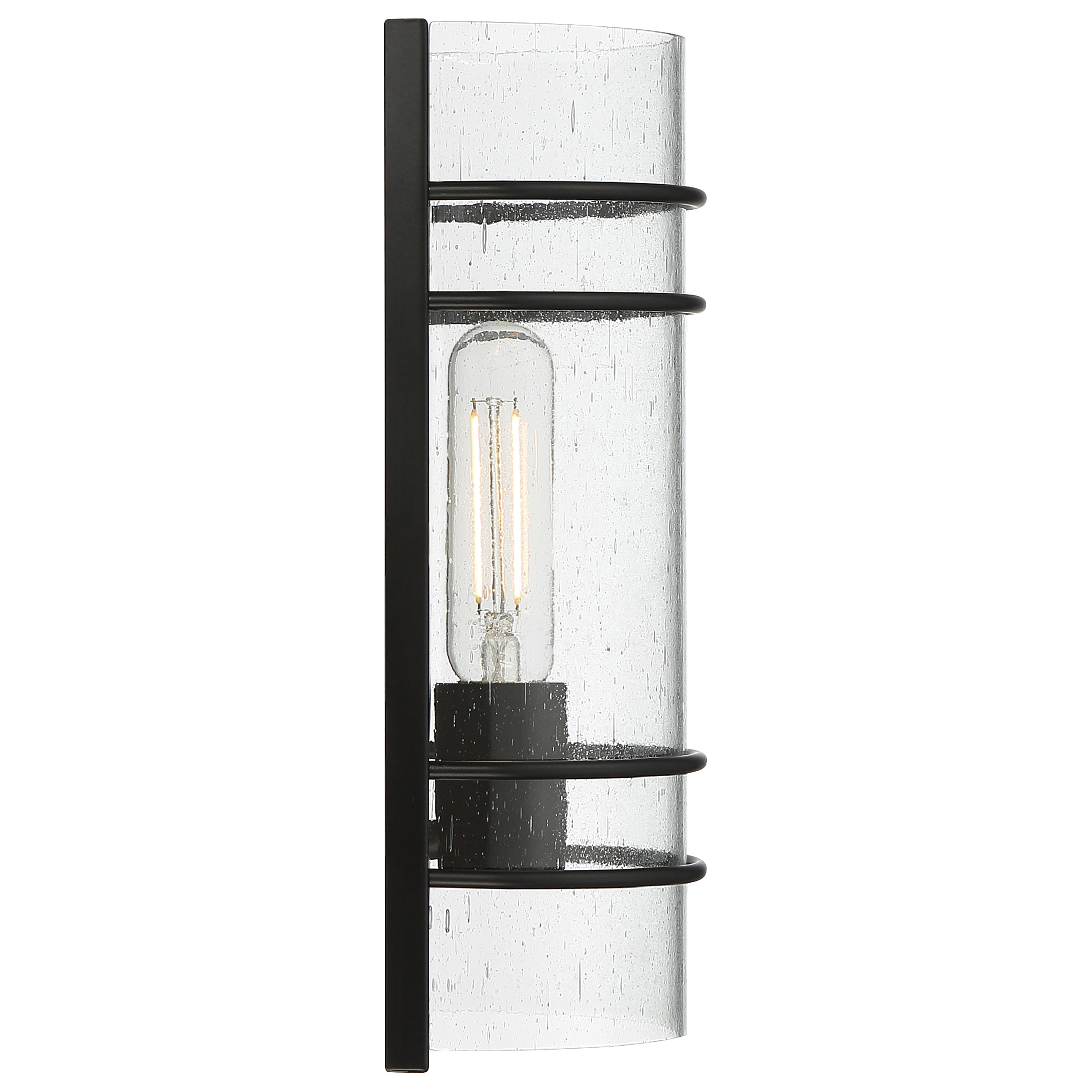 Cassi 1 Light LED Wall Sconce