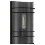 Cassi 1 Light LED Wall Sconce