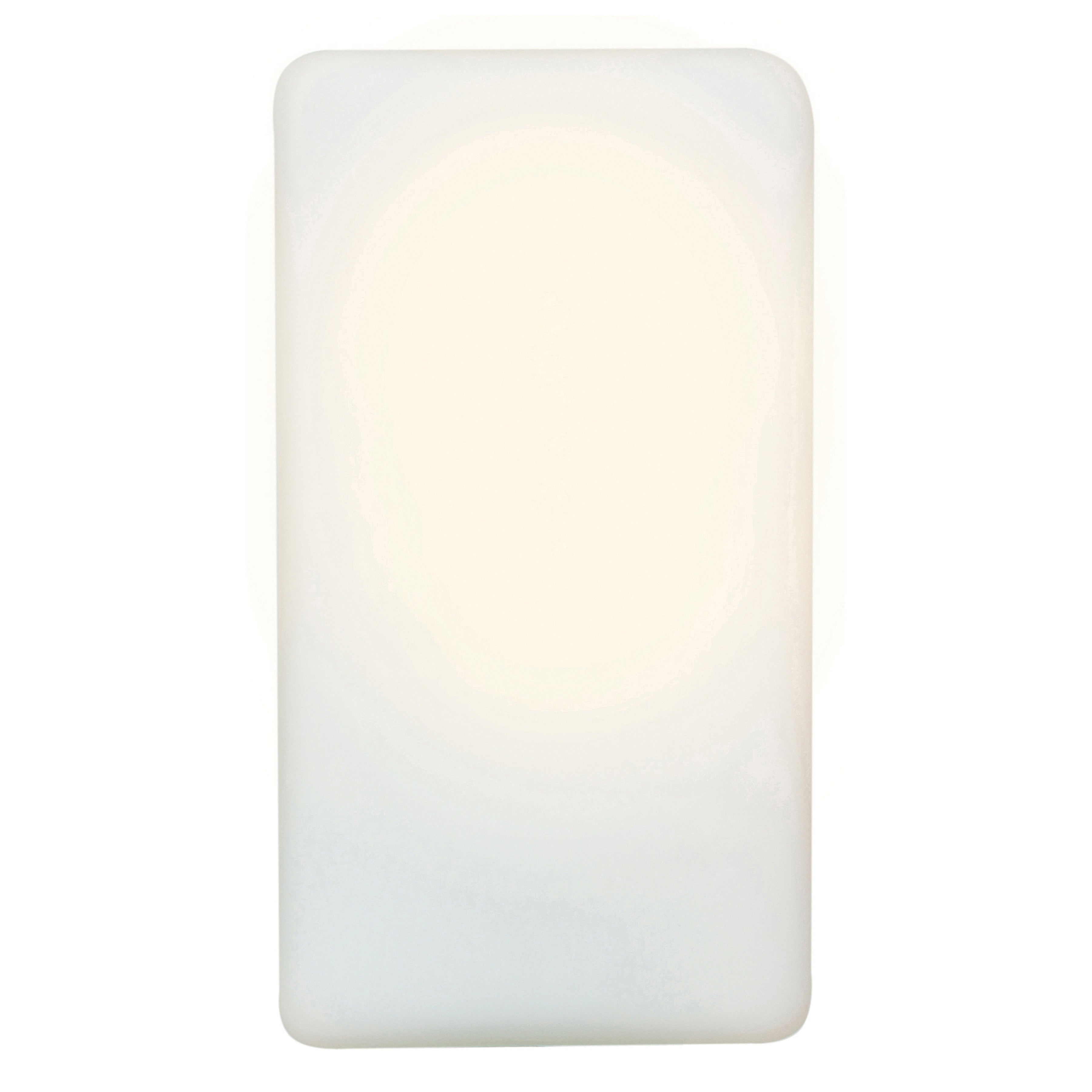 Brick 1 Light Outdoor Wall Mount