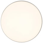 Roma Minimus LED Flush Mount, Brushed Steel