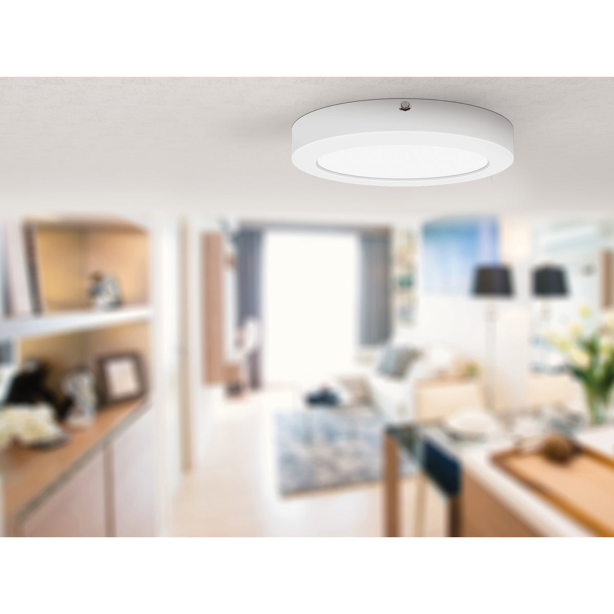Access Lighting ModPLUS Dual Voltage Emergency Battery Backup LED Flush Mount, image 7