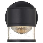 Ari Seedy Outdoor LED Wall Mount