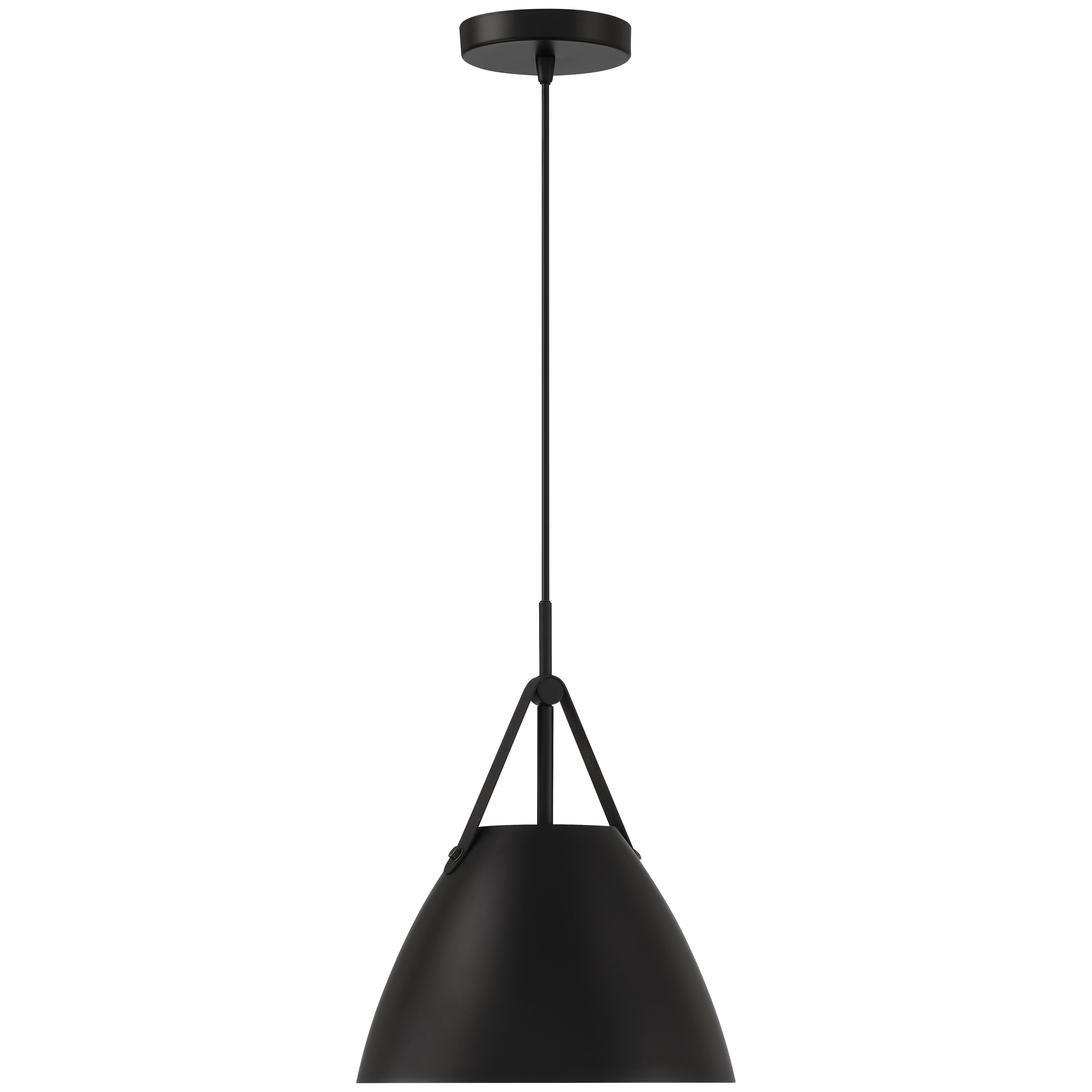 Tanner 1 Light Pendant