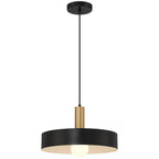 Slate 1 Light Pendant, Black with Antique Brushed Brass