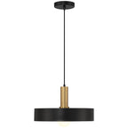 Slate 1 Light Pendant, Black with Antique Brushed Brass