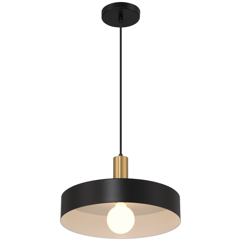 Slate 1 Light Pendant, Black with Antique Brushed Brass