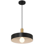 Slate 1 Light Pendant, Black with Antique Brushed Brass