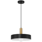 Slate 1 Light Pendant, Black with Antique Brushed Brass