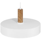 Slate 1 Light Pendant, White with Wood Grain