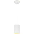 Pilson Pendant (29000-MWH-C)