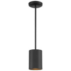 Pilson Pendant (29000-MBL)