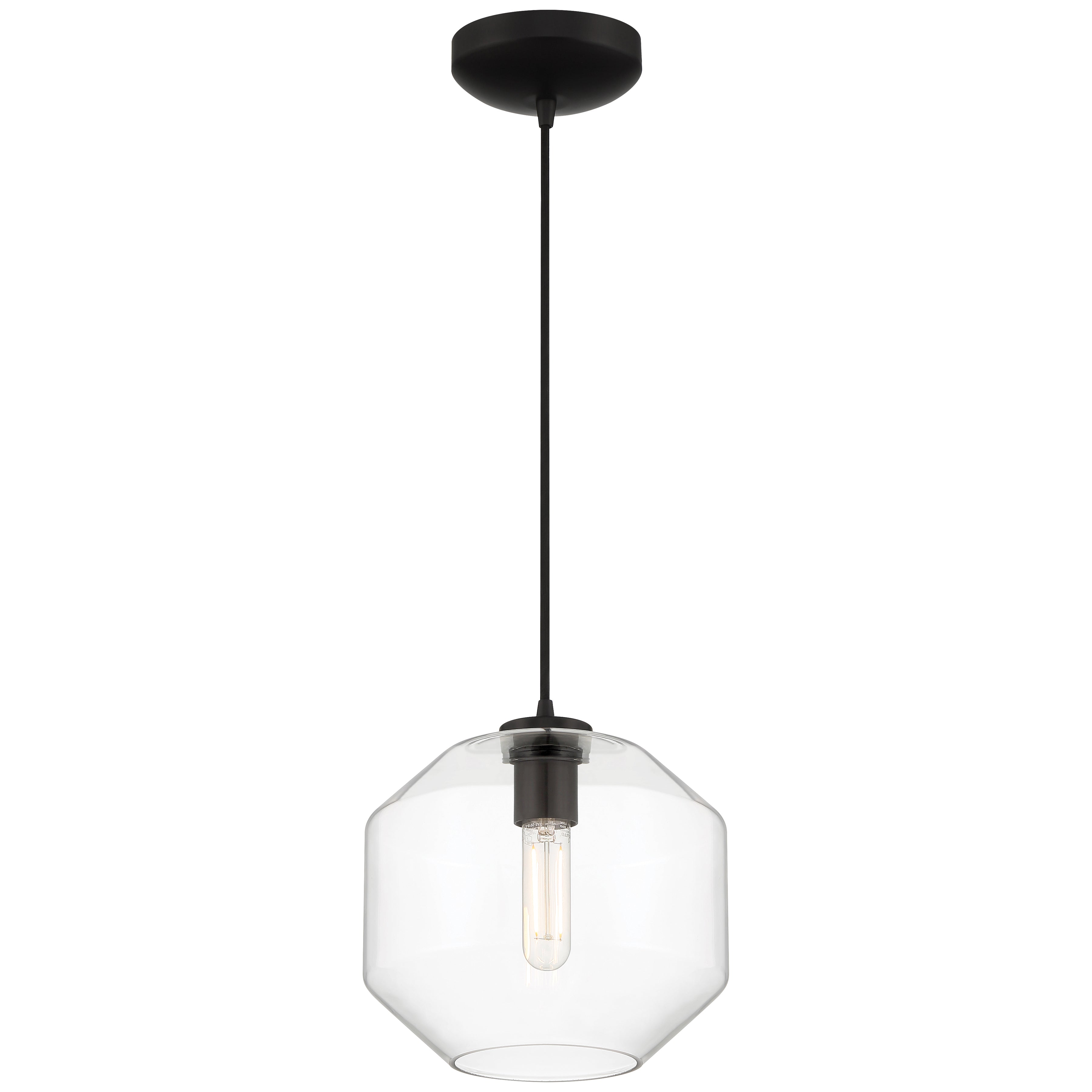 Clarity LED Pendant, 9.5"