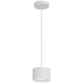Bongo 5CCT LED Pendant, White (29300LEDDCS)
