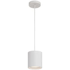 Bongo 5CCT LED Pendant, White (29301LEDDCS)