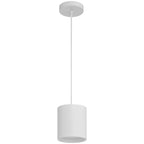 Bongo 5CCT LED Pendant, White (29301LEDDCS)