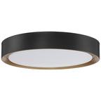 Malaga LED Flush Mount, 19.75" / 27W