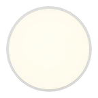 Beat Dual Voltage LED Flush Mount