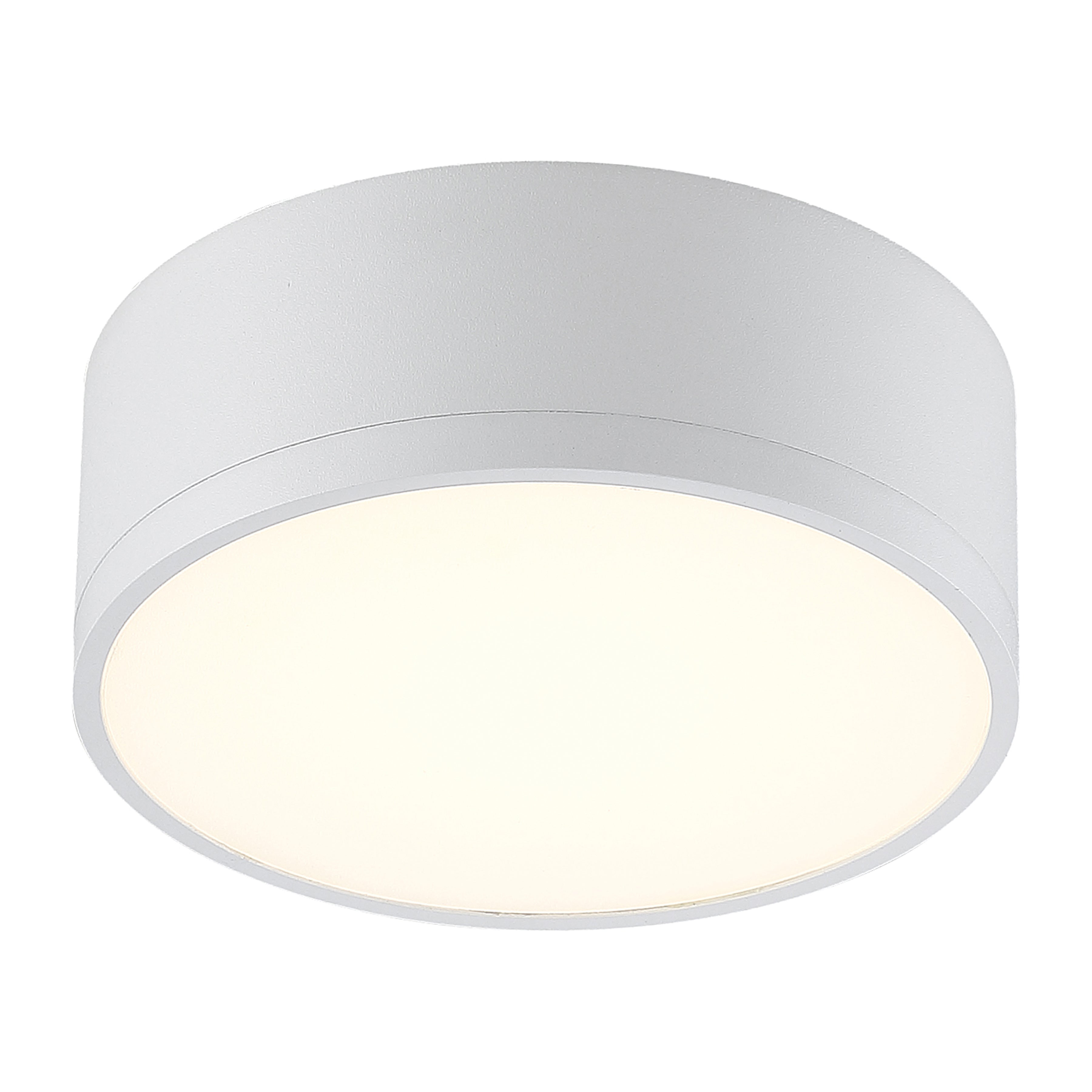 Beat Dual Voltage LED Flush Mount