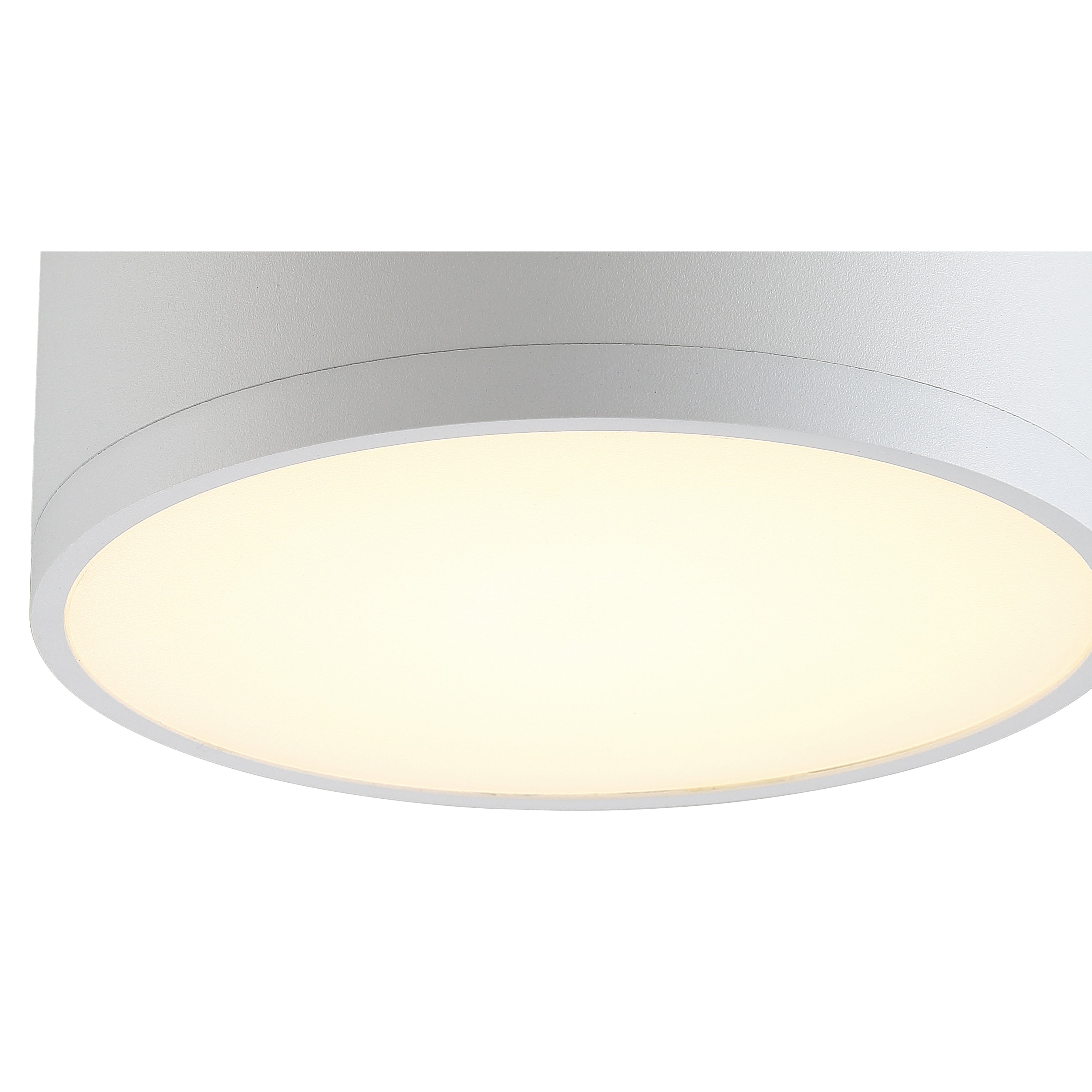 Beat Dual Voltage LED Flush Mount