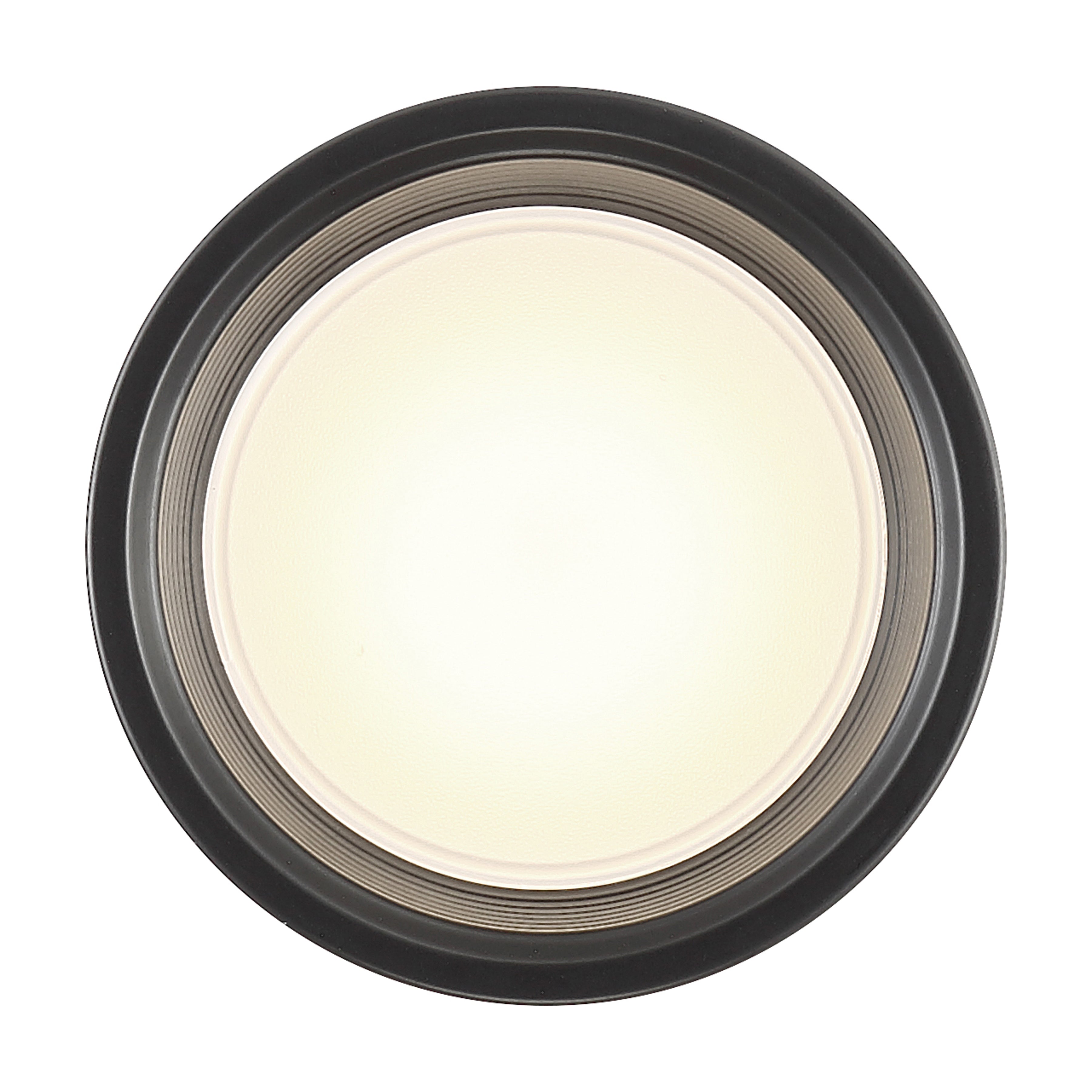 Reel Dual Voltage LED Flush Mount, Black / 5.25"