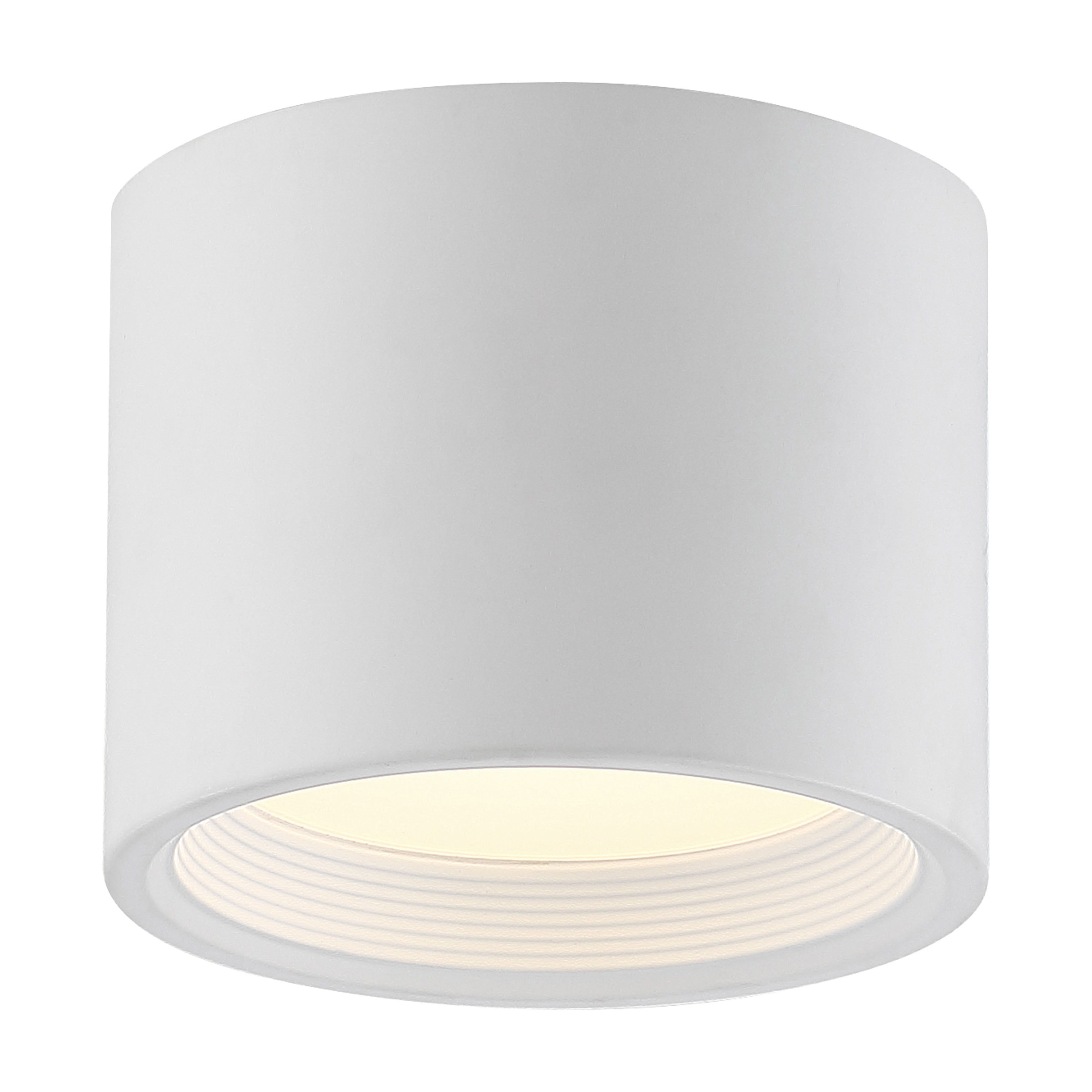 Reel Dual Voltage LED Flush Mount, White / 5.25"