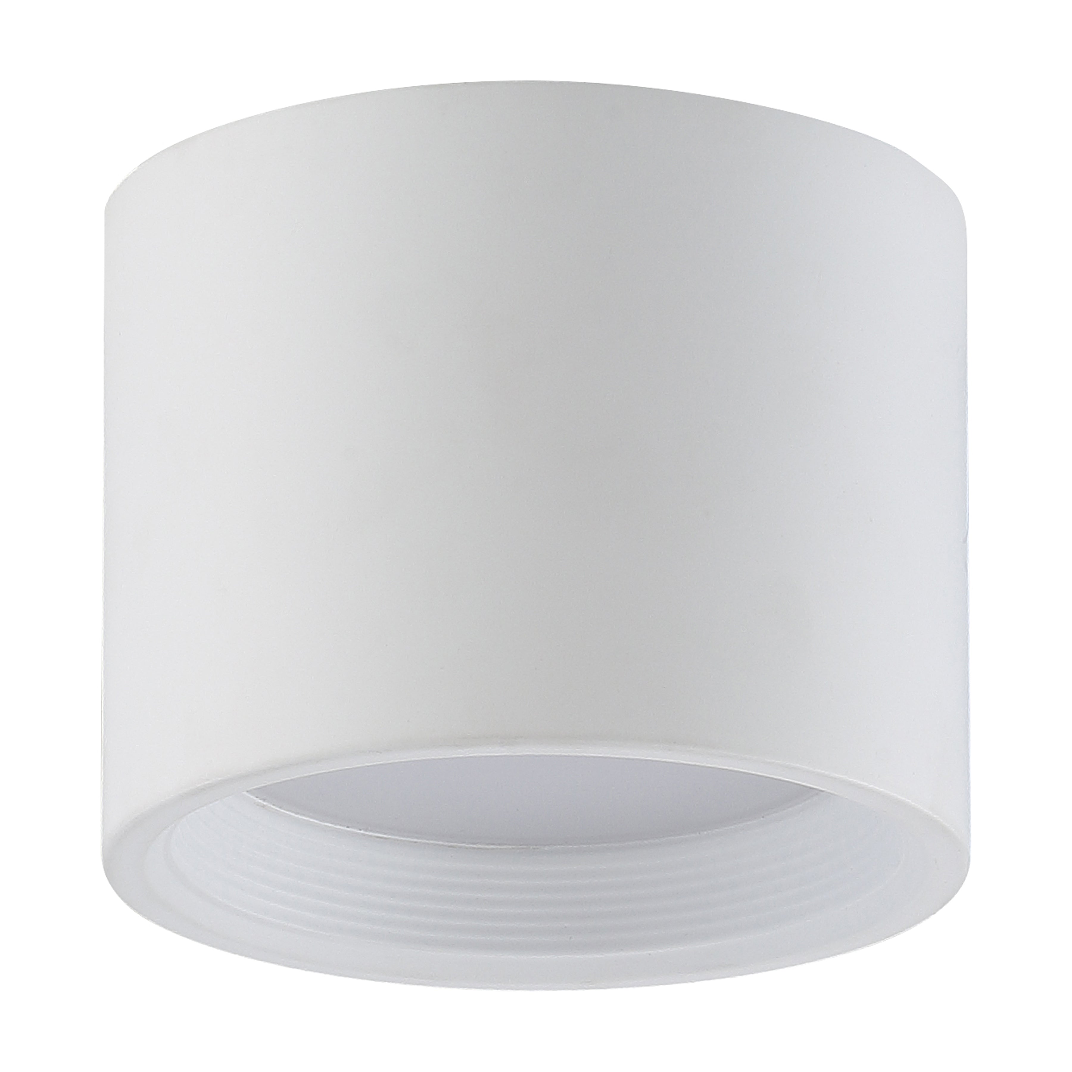 Reel Dual Voltage LED Flush Mount, White / 5.25"