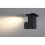 Transformer Dual Voltage Adjustable LED Spotlight (50011LEDD-BL/CLR)