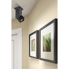 Access Lighting Transformer Dual Voltage Adjustable LED Spotlight (50011LEDD-BL/CLR), image 7