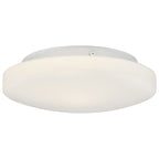 Orion Flush Mount
