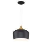 The Blend Pendant by Access Lighting features a black finish with a wood grain accent near the top and is suspended from a matching black cord and ceiling mount.
