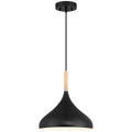 Olivia 1 Light Pendant, Black