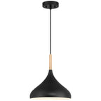 Olivia 1 Light Pendant, Black