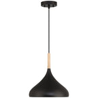 Olivia 1 Light Pendant, Black