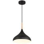 Olivia 1 Light Pendant, Black