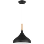 Olivia 1 Light Pendant, Black