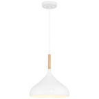 Olivia 1 Light Pendant, White