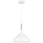 Olivia 1 Light Pendant, White