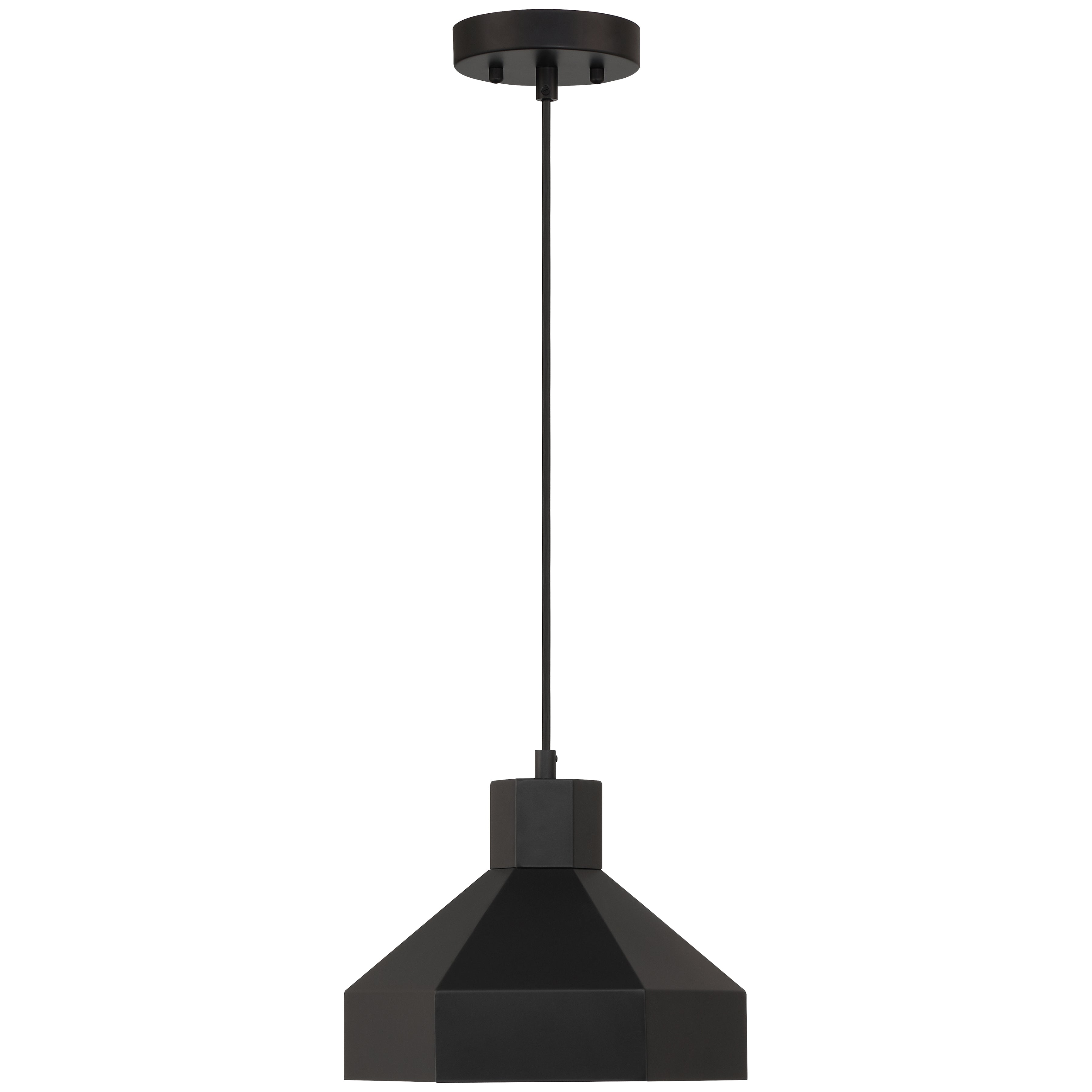 Poly 1 Light Pendant, Matte Black