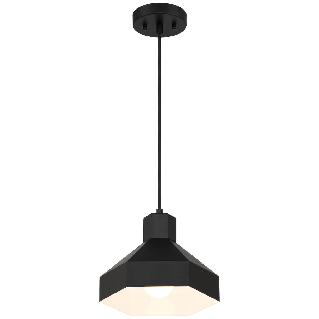 Poly 1 Light Pendant, Matte Black