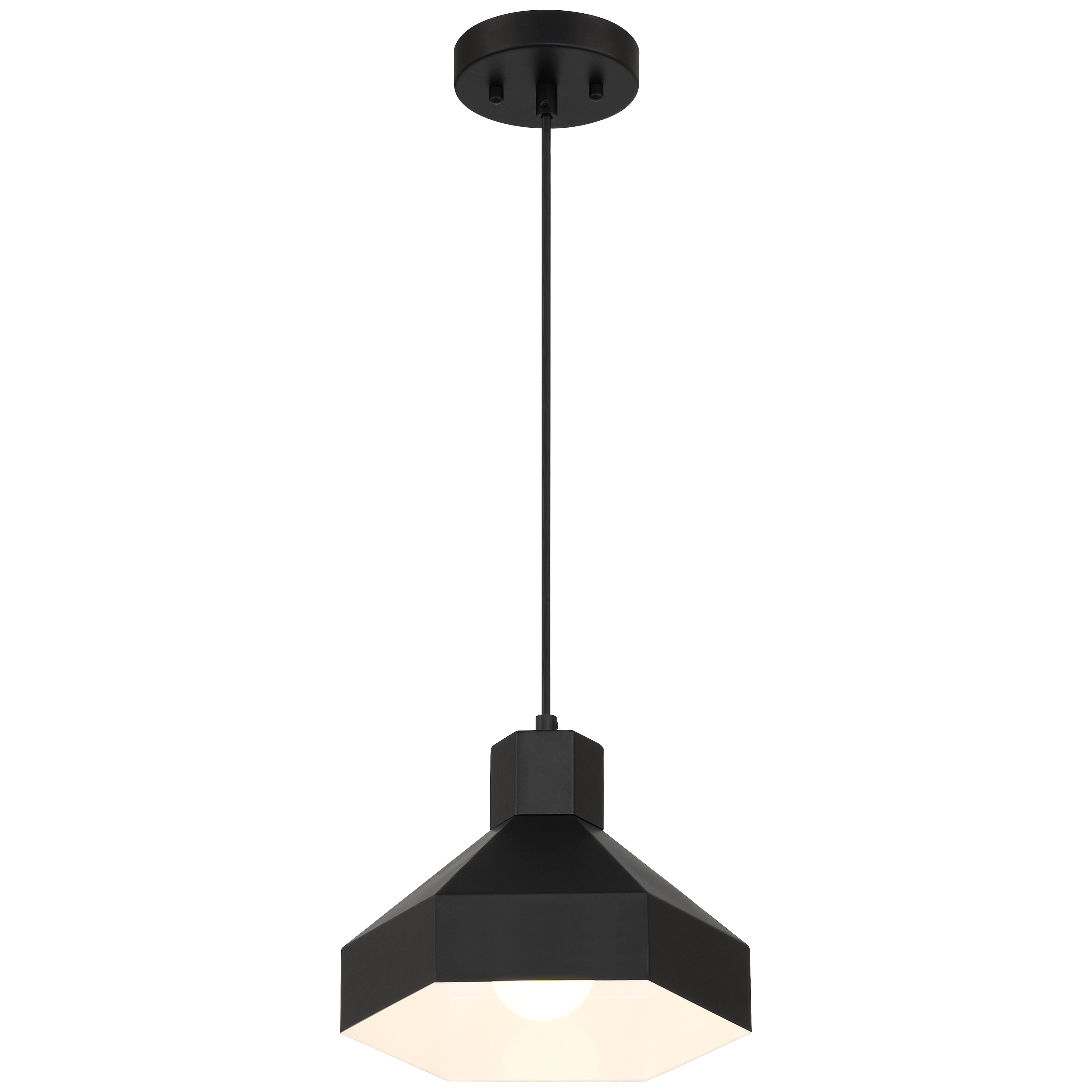 Poly 1 Light Pendant, Matte Black