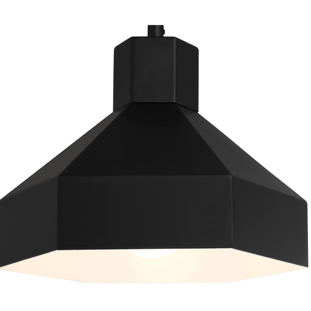 Poly 1 Light Pendant, Matte Black