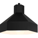 Poly 1 Light Pendant, Matte Black