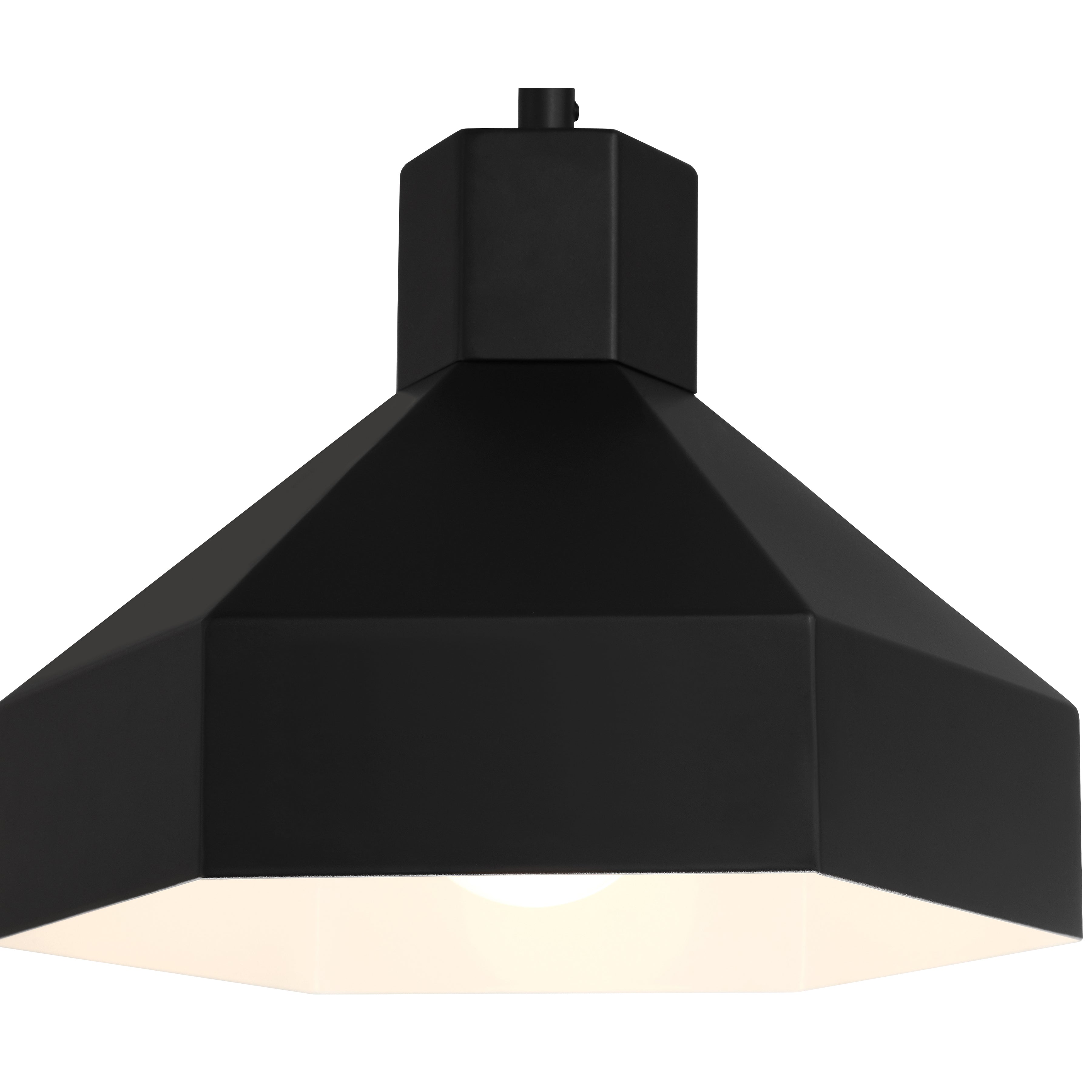 Poly 1 Light Pendant, Matte Black
