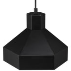 Poly 1 Light Pendant, Matte Black